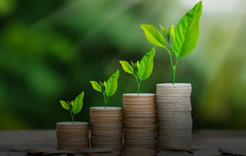 The Rise of Green Loans: Financing Eco-Friendly Projects