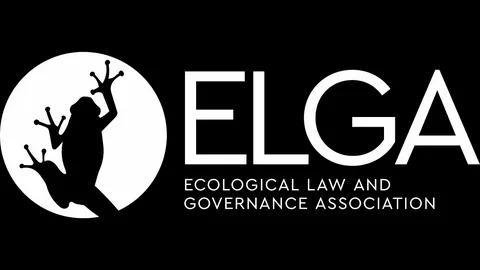 Environmental Law: Emerging Issues in Climate Change Litigation